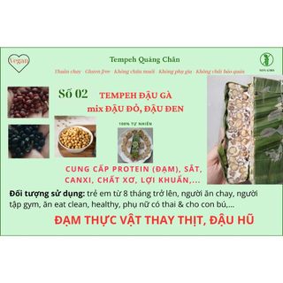 TEMPEH ĐẬU GÀ mix ĐẬU ĐỎ, ĐẬU ĐEN (số 2)- (đạm thực vật thay thịt, thay đậu hũ)