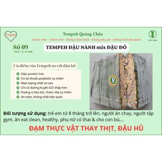 TEMPEH ĐẬU NÀNH 100% (SỐ 9) – GÓI LÁ CHUỐI – NON-GMO – ĐẠM THAY THỊT, ĐẬU HŨ