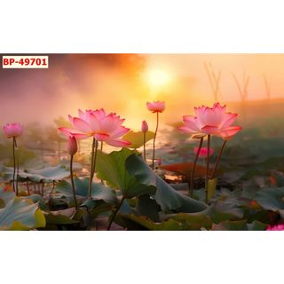 Tranh 3D chủ đề hoa sen, hoa đắp nổi với nhiều màu sắc khác nhau, phong cách trang nhã, lịch sự