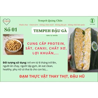 TEMPEH ĐẬU GÀ GÓI LÁ CHUỐI 100% NON-GMO (SỐ 1) (đạm chay thay thịt, thay đậu hũ)