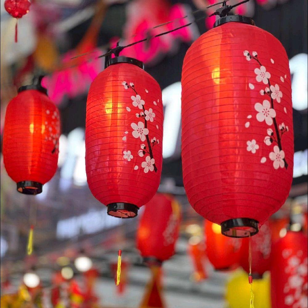 ĐÈN LỒNG HOA ĐÀO (cầu và trụ ) trang trí decor treo tết , quán ăn , quán cafe , ... đa dạng kích thước