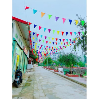 combo 10 dây cờ nheo, cờ trang trí lễ hội  (ducphong)