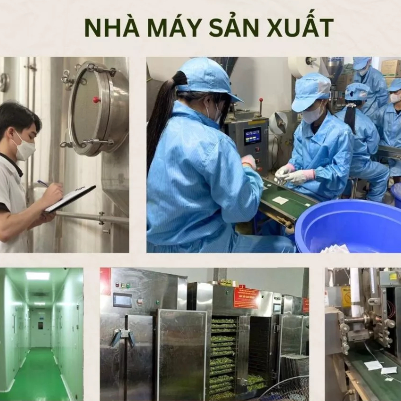 Trà Thảo Mộc - Gói 60 túi lọc