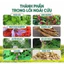 Thảm ngải cứu đông y đệm ngải cứu thảo dược giảm đau xương khớp ngủ ngon hơn