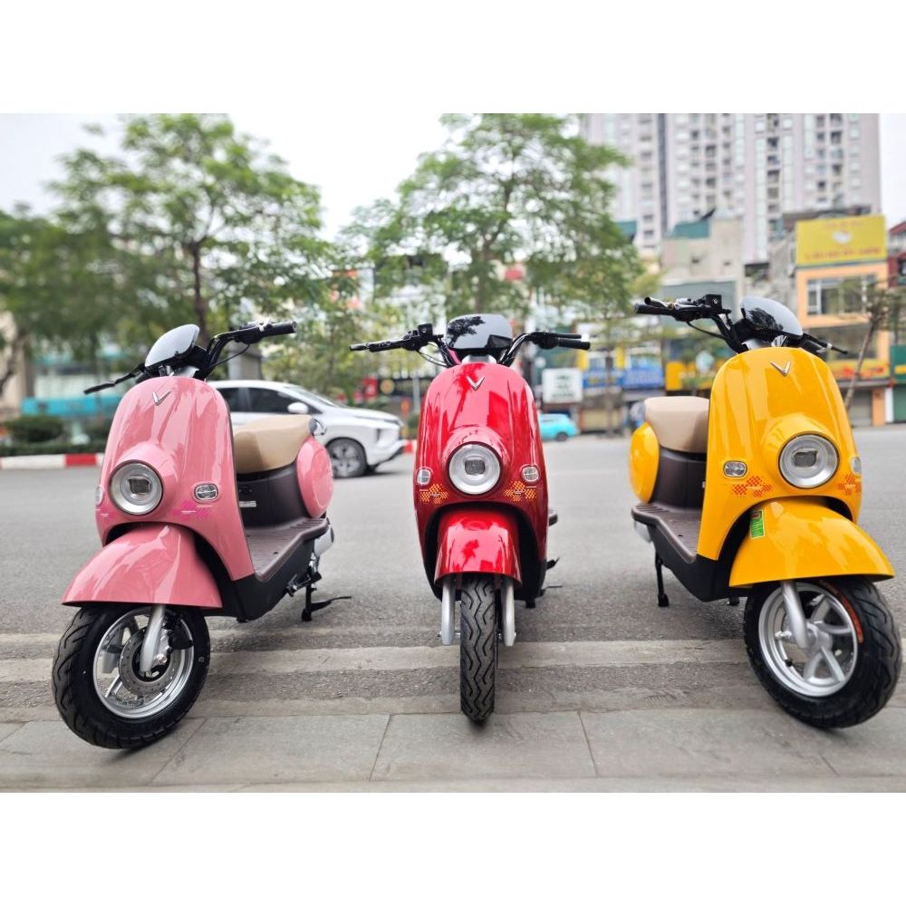 Thảm lót xe điện Vinfast MOTIO hàng chất lượng