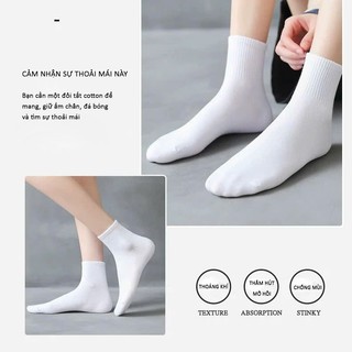Tất Cổ Ngắn Cotton Thoáng Khí Hút Mồ Hôi – Vớ Cổ Thấp Unisex Nam Nữ Đi Học Đi Làm, Chơi Thể Thao