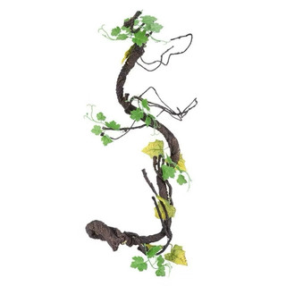 Dây rừng , dây leo cổ các loại - Phụ kiện hoa giả