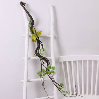 Dây rừng , dây leo cổ các loại - Phụ kiện hoa giả