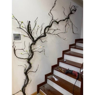 Dây rừng , dây leo cổ các loại - Phụ kiện hoa giả