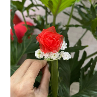 combo 10hoa giá sỉ  HOA NHŨ voan hoa Hồng đủ màu luxury dùng hoa tặng 20/10, ngày 20/11