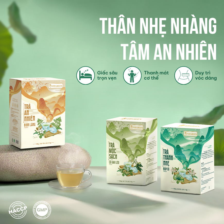 Combo 3 Trà Túi Lọc Đinh Lăng + Búp Ổi + Cà Gai Leo VIEGREEN, 50x3g + 50x3g + 50x3g, GMP HACCP