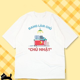 Áo thun unisex mèo ngộ nghĩnh Đang Làm Chủ Nhật áo phông cổ tròn chất Cotton mềm mịn co dãn 4 chiều TA0114