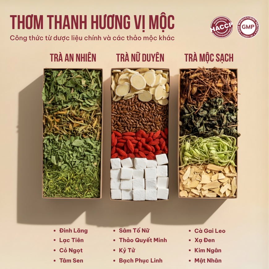 Combo 3 Trà Túi Lọc VIEGREEN Sâm Tố Nữ + Đinh Lăng + Cà Gai Leo, Không Đường, GMP HACCP
