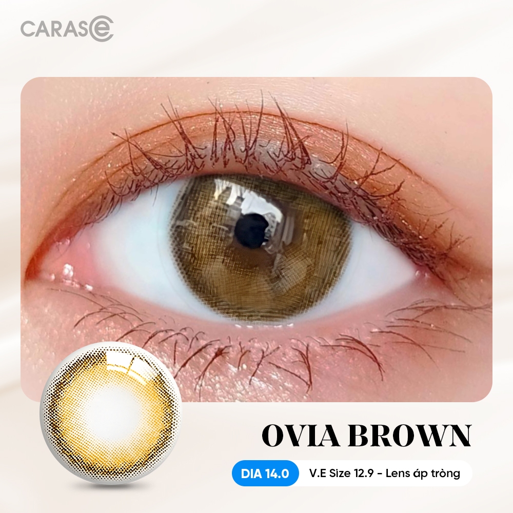 [1 chiếc] Kính áp tròng khoá ẩm 1 Ngày Màu Nâu CARASE, Lens cận OVIA BROWN
