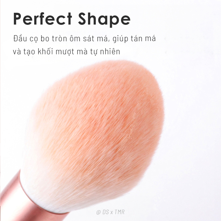 Cọ TMR chính hãng Peach Brush Cọ Trang Điểm Má, Cọ Phủ, Cọ Nền, Makeup cơ bản với nhiều phong cách cùng