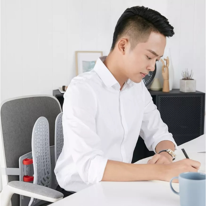 [Manson] Đỡ lưng (tựa lưng) công thái học Manson FlexBack Ultimate Edition - BẢO HÀNH 1 NĂM | BigBuy360 - bigbuy360.vn