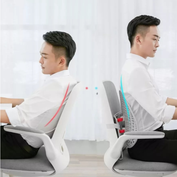 [Manson] Đỡ lưng (tựa lưng) công thái học Manson FlexBack Ultimate Edition - BẢO HÀNH 1 NĂM | BigBuy360 - bigbuy360.vn