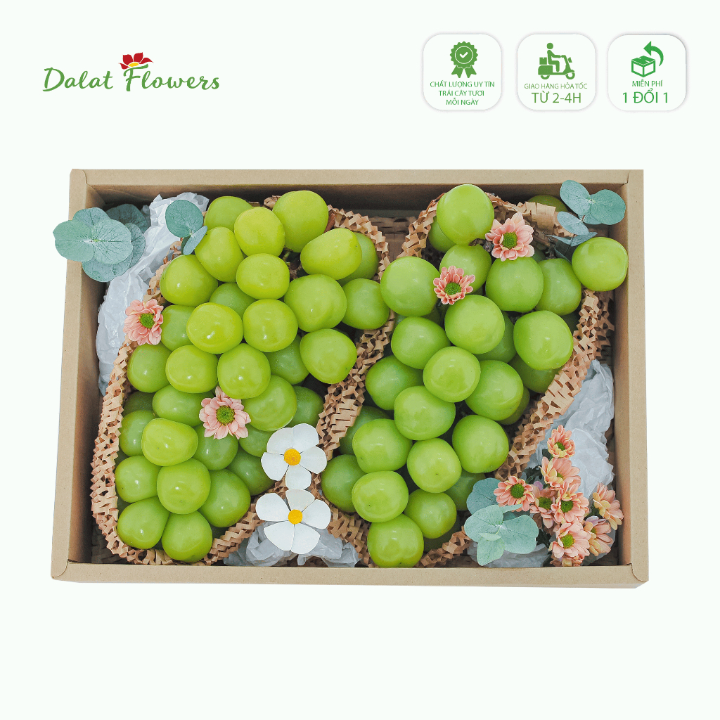 Fruit box - Giá Tốt, Sale Tháng 08, Ship 0 Đồng | Shopee Việt Nam