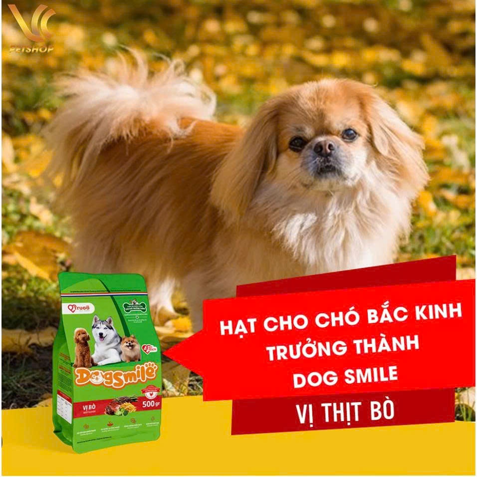 Hạt Cho Chó Trưởng Thành Dogsmile By Truoo Vị Bò Và Gà Nướng Gói 500g Và 2kg