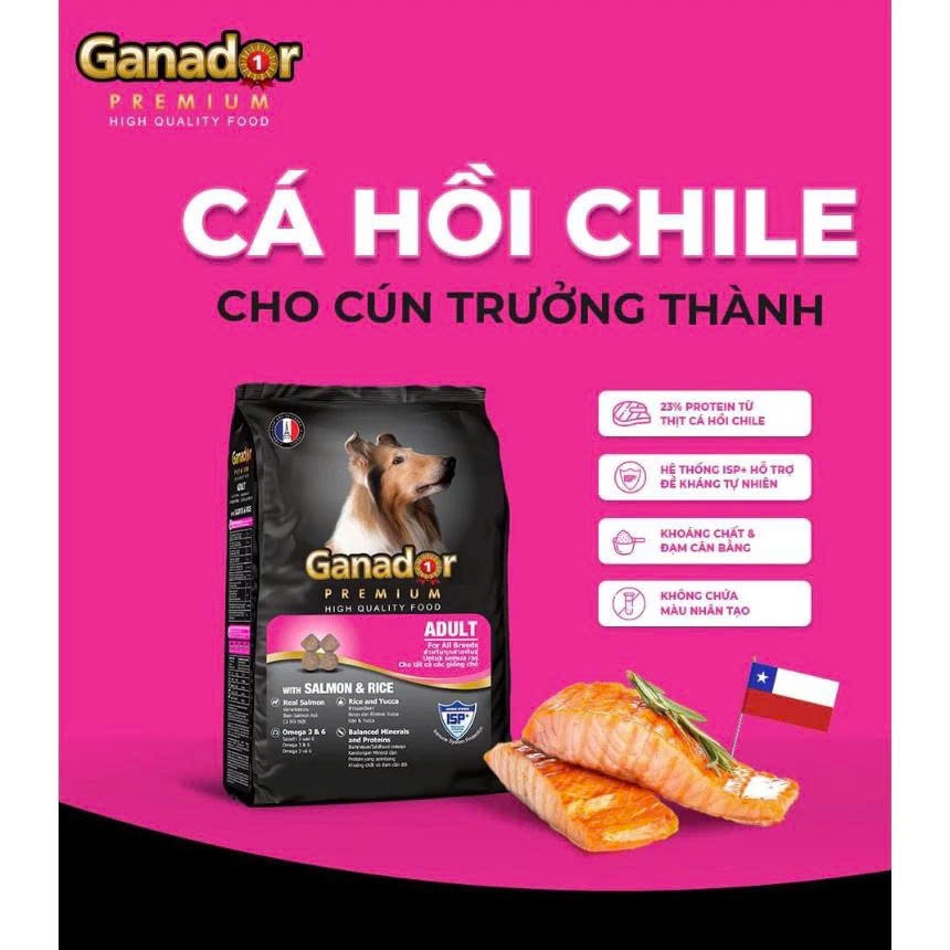 Thức ăn hạt Ganador Premium cho chó trưởng thành vị Cá hồi & Gạo  cải thiện khả năng miễn dịch, 3 kg