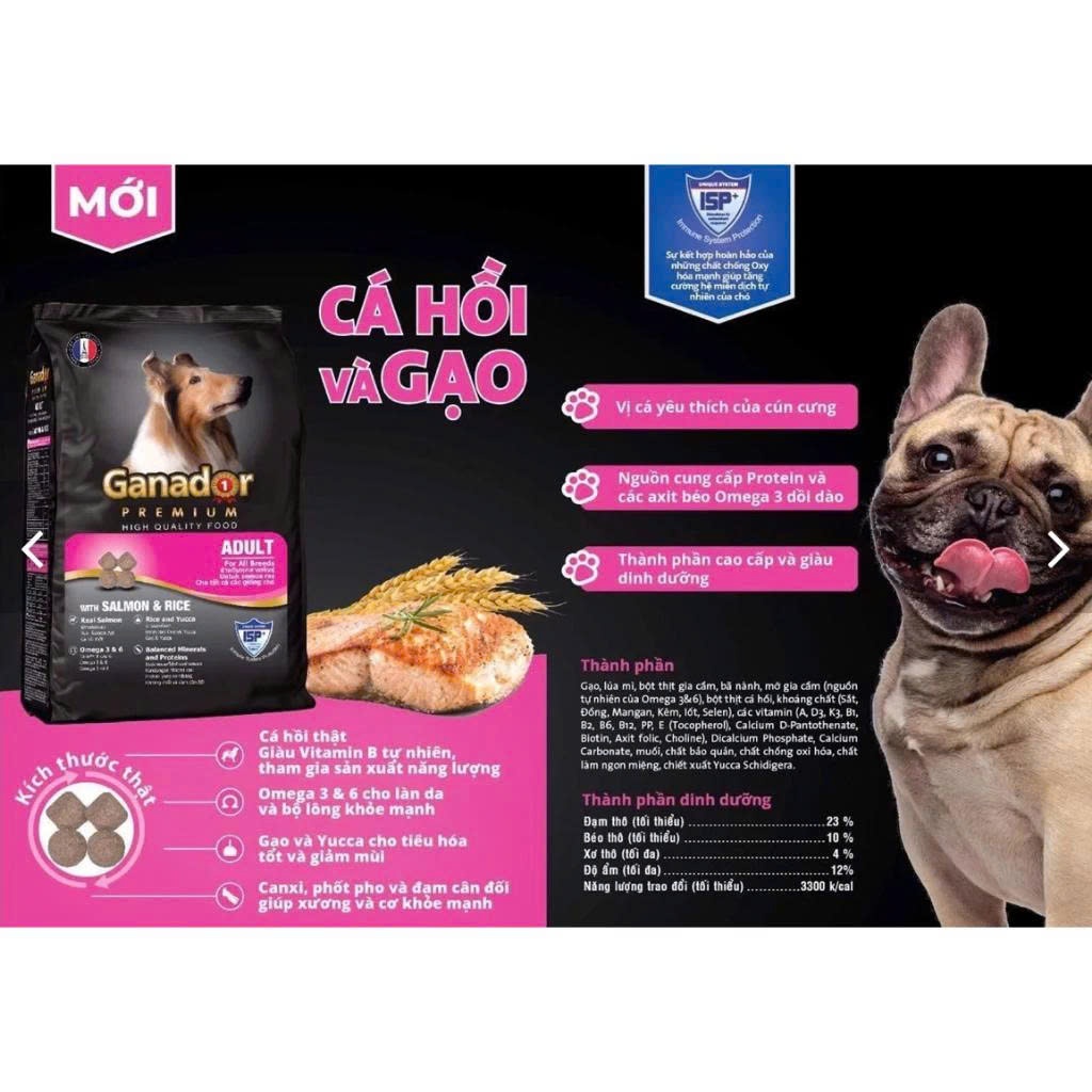 Thức ăn hạt Ganador Premium cho chó trưởng thành vị Cá hồi & Gạo  cải thiện khả năng miễn dịch, 3 kg
