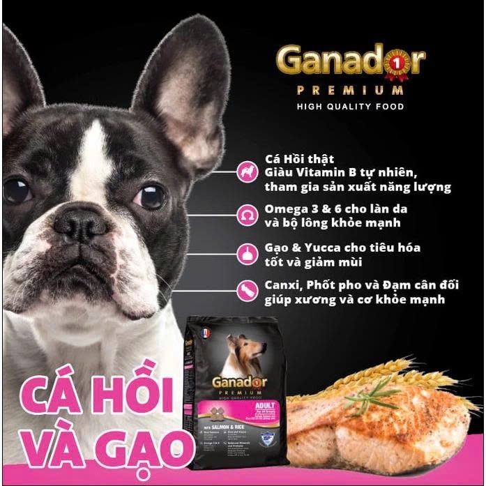 Thức ăn hạt Ganador Premium cho chó trưởng thành vị Cá hồi & Gạo  cải thiện khả năng miễn dịch, 3 kg