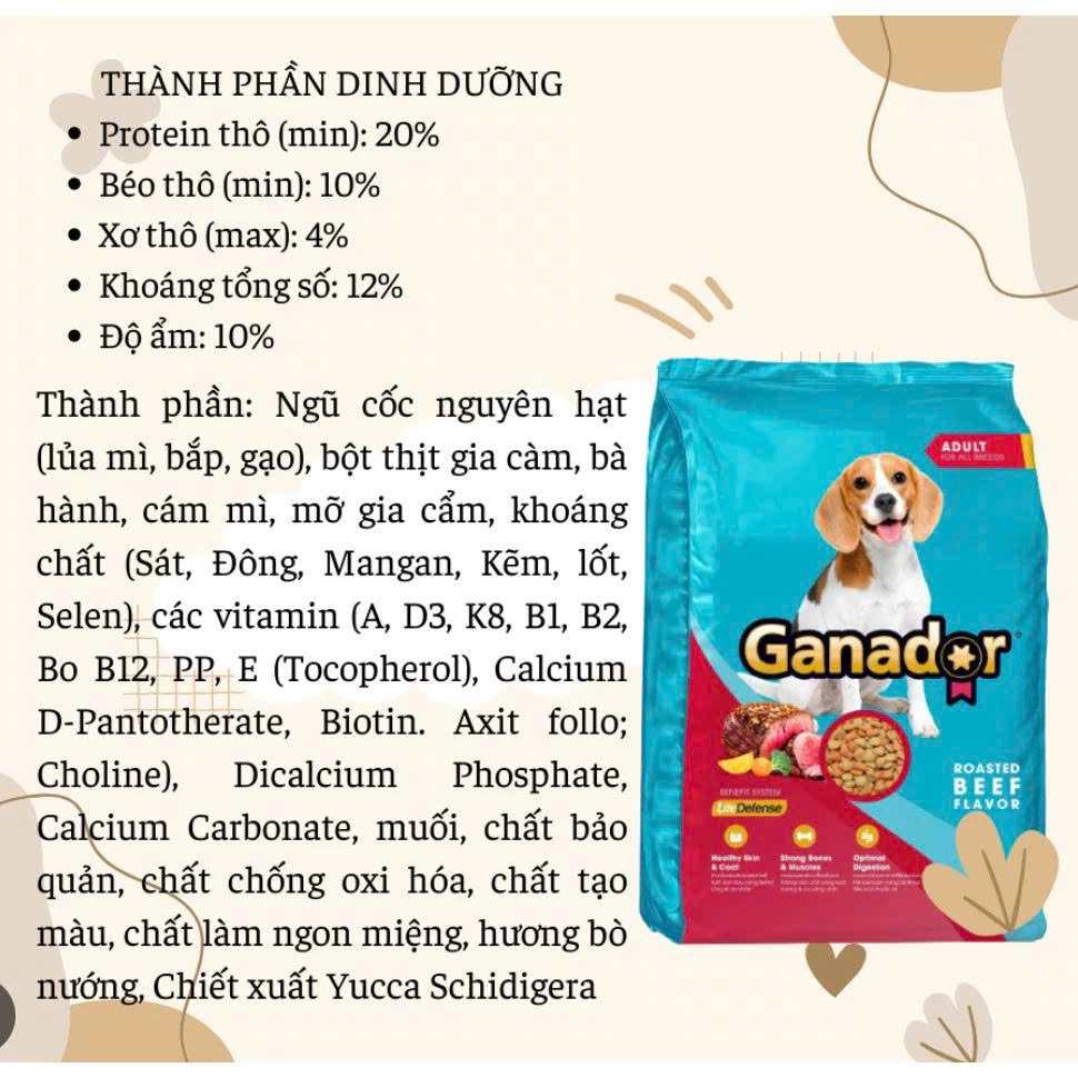 Thức Ăn Hạt Cho Chó Trưởng Thành Ganador Vị Bò Nướng Gói 3kg Hỗ Trợ Xương Chắc Khỏe, Dưỡng Lông