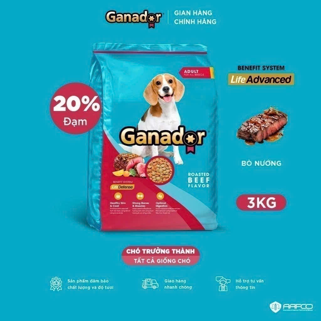 Thức Ăn Hạt Cho Chó Trưởng Thành Ganador Vị Bò Nướng Gói 3kg Hỗ Trợ Xương Chắc Khỏe, Dưỡng Lông