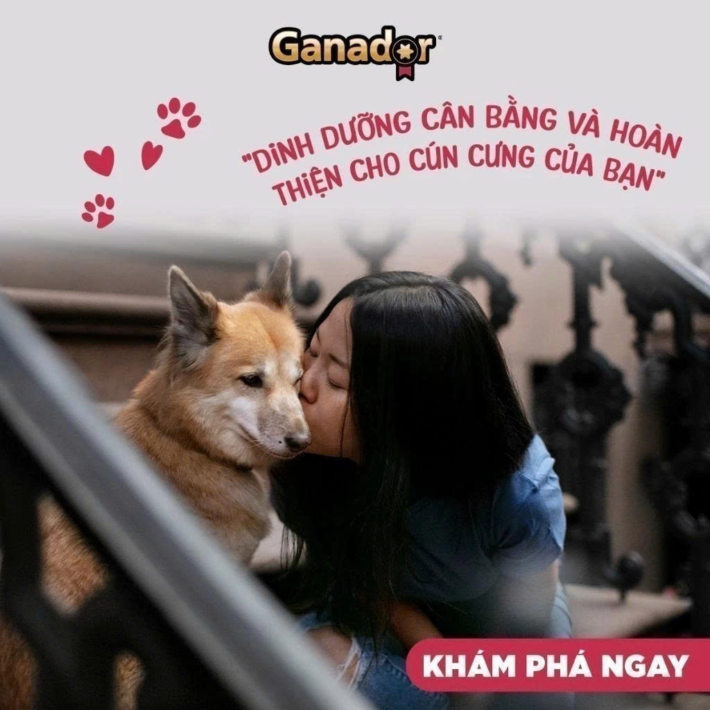 Thức Ăn Hạt Cho Chó Trưởng Thành Ganador Vị Bò Nướng Gói 3kg Hỗ Trợ Xương Chắc Khỏe, Dưỡng Lông