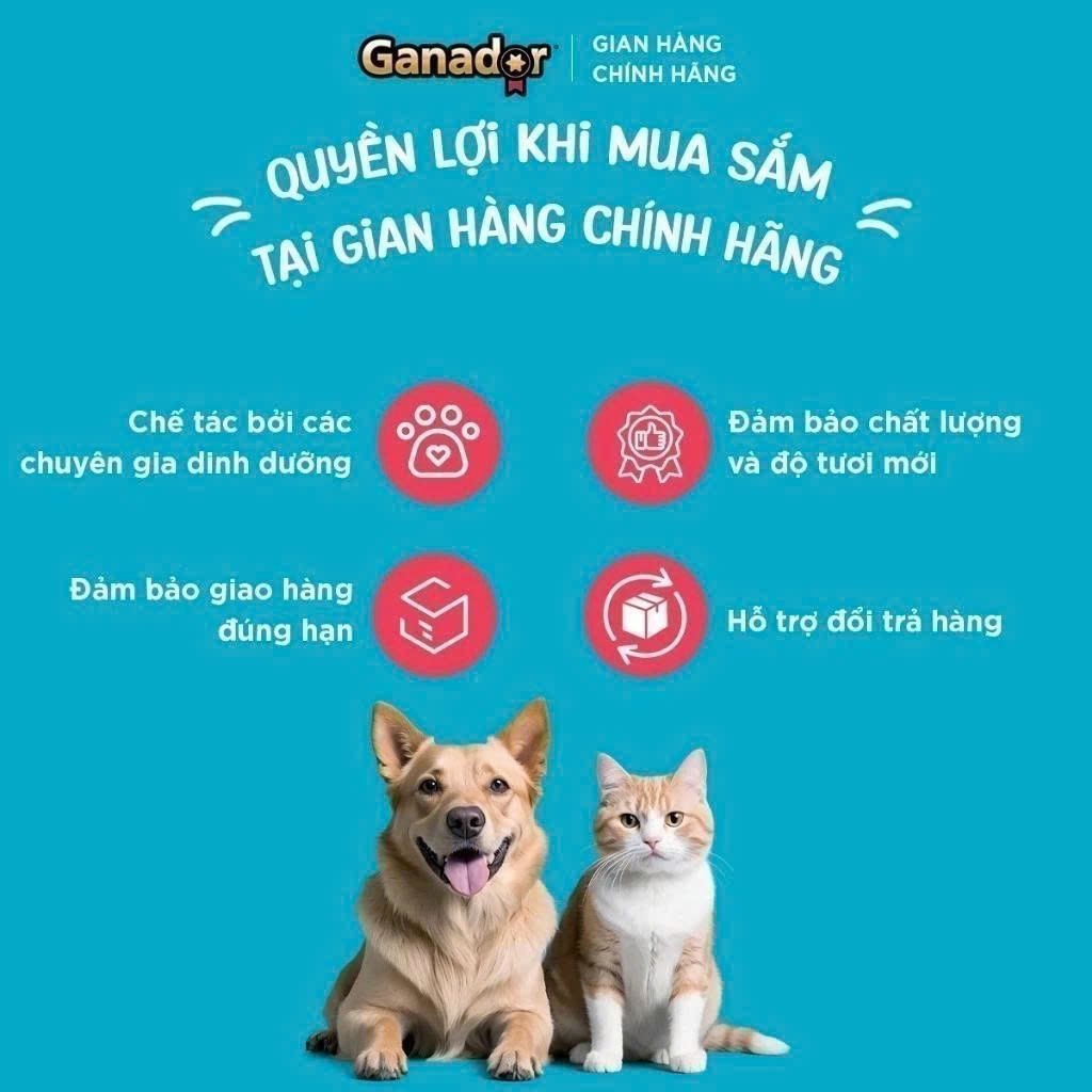 Thức Ăn Hạt Cho Chó Trưởng Thành Ganador Vị Bò Nướng Gói 3kg Hỗ Trợ Xương Chắc Khỏe, Dưỡng Lông