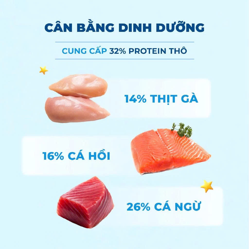 Gói Hạt 1kg Mr.Vet G1 cho Mèo ở Mọi Lứa Tuổi - Hương Cá Ngừ, Có Topping Thịt Sấy, Không Độn Đạm Giả