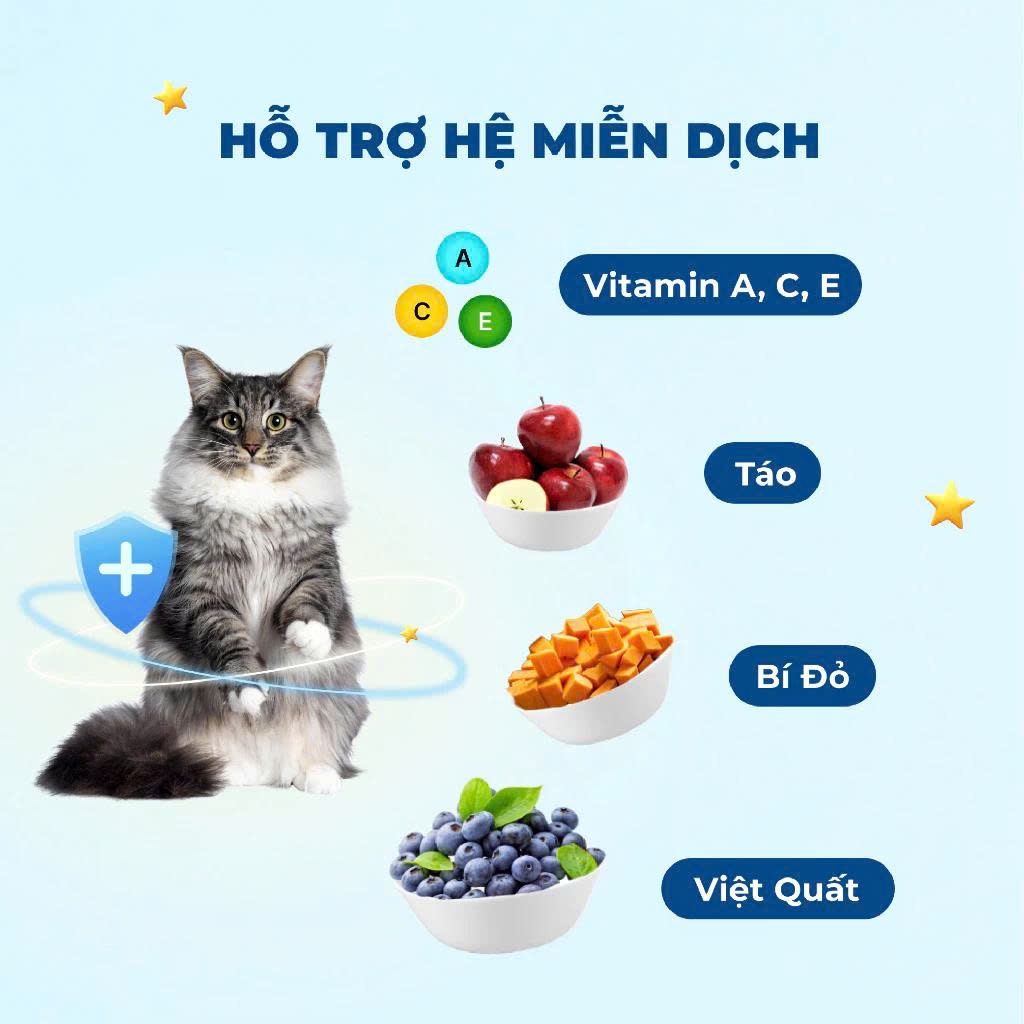 Gói Hạt 1kg Mr.Vet G1 cho Mèo ở Mọi Lứa Tuổi - Hương Cá Ngừ, Có Topping Thịt Sấy, Không Độn Đạm Giả
