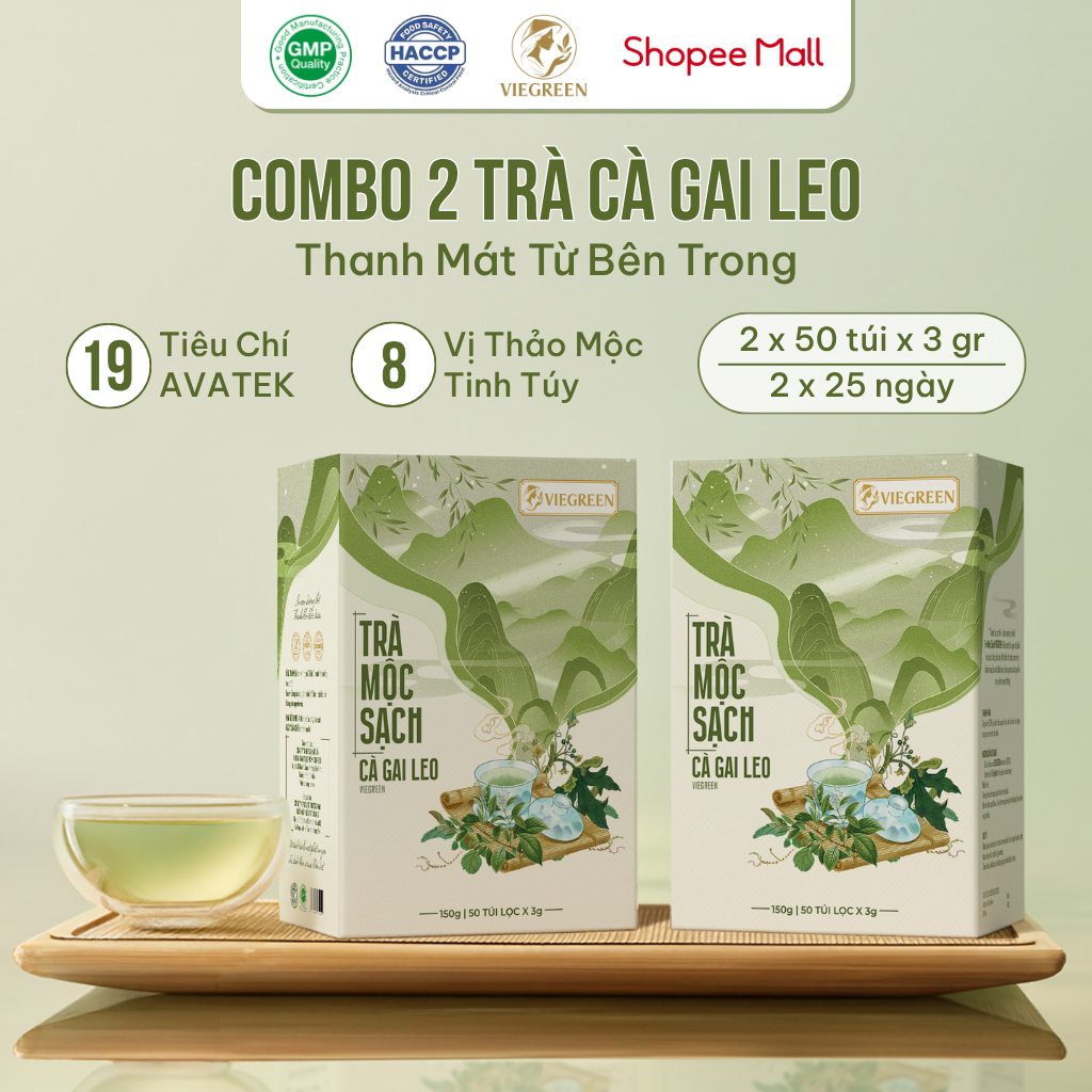 Combo 2 Hộp Trà Túi Lọc Cà Gai Leo VIEGREEN Mộc Sạch 33% 50 Túi x 3g, Không Đường, Mát Gan, GMP HACCP