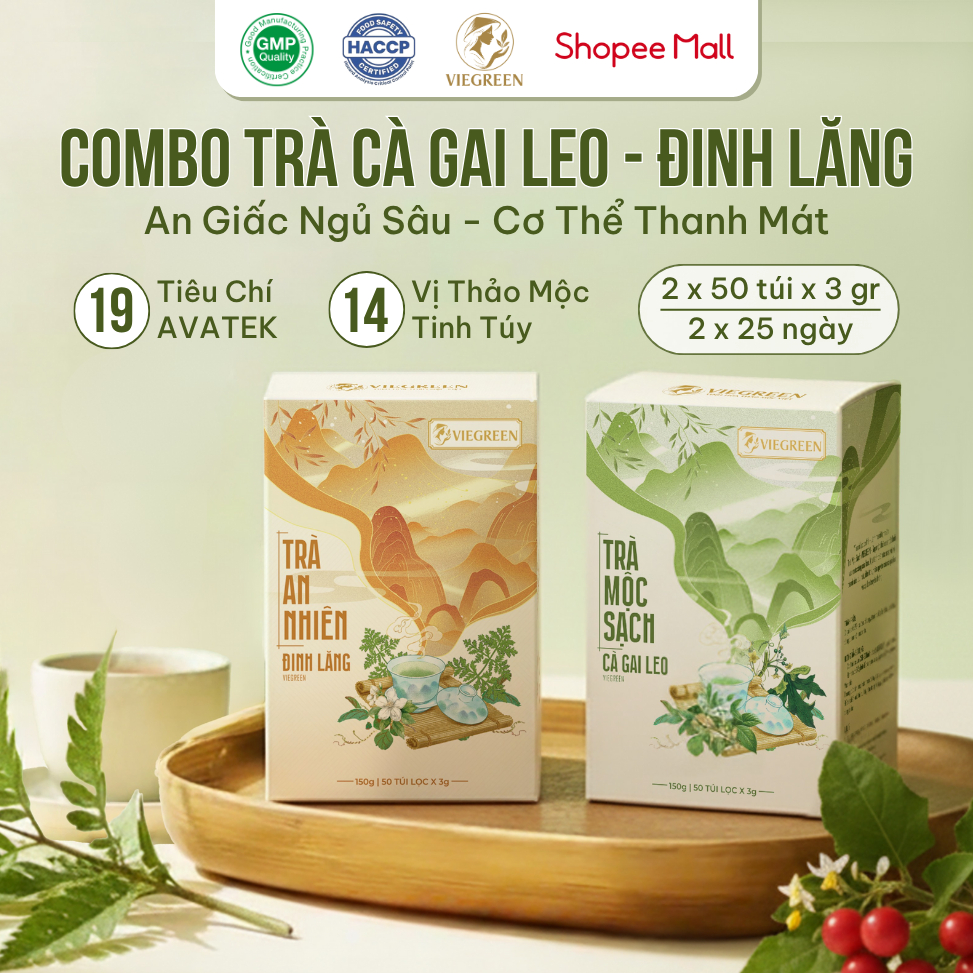 Combo 2 Trà Túi Lọc Cà Gai Leo + Đinh Lăng VIEGREEN 50x3g + 50x3g, GMP HACCP