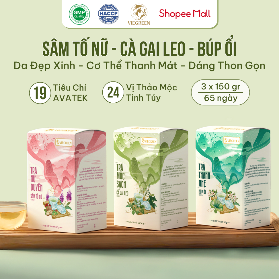 Combo 3 Trà Túi Lọc Sâm Tố Nữ + Búp Ổi + Cà Gai Leo VIEGREEN 30x5g + 50x3g + 50x3g, GMP HACCP