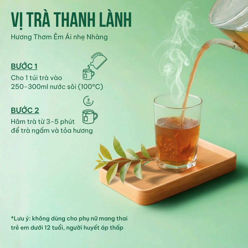 Combo 3 Trà Túi Lọc Đinh Lăng + Búp Ổi + Cà Gai Leo VIEGREEN, 50x3g + 50x3g + 50x3g, GMP HACCP
