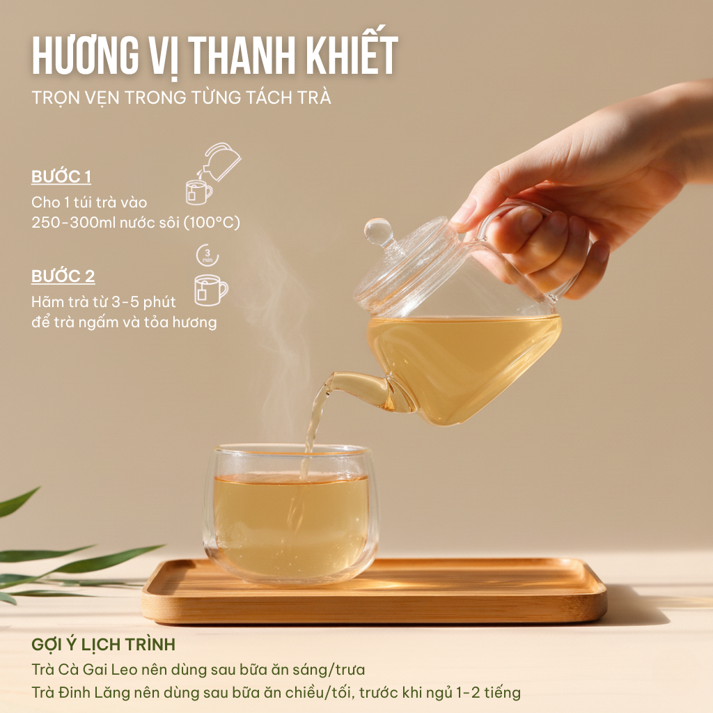 Combo 2 Trà Túi Lọc Cà Gai Leo + Đinh Lăng VIEGREEN 50x3g + 50x3g, GMP HACCP