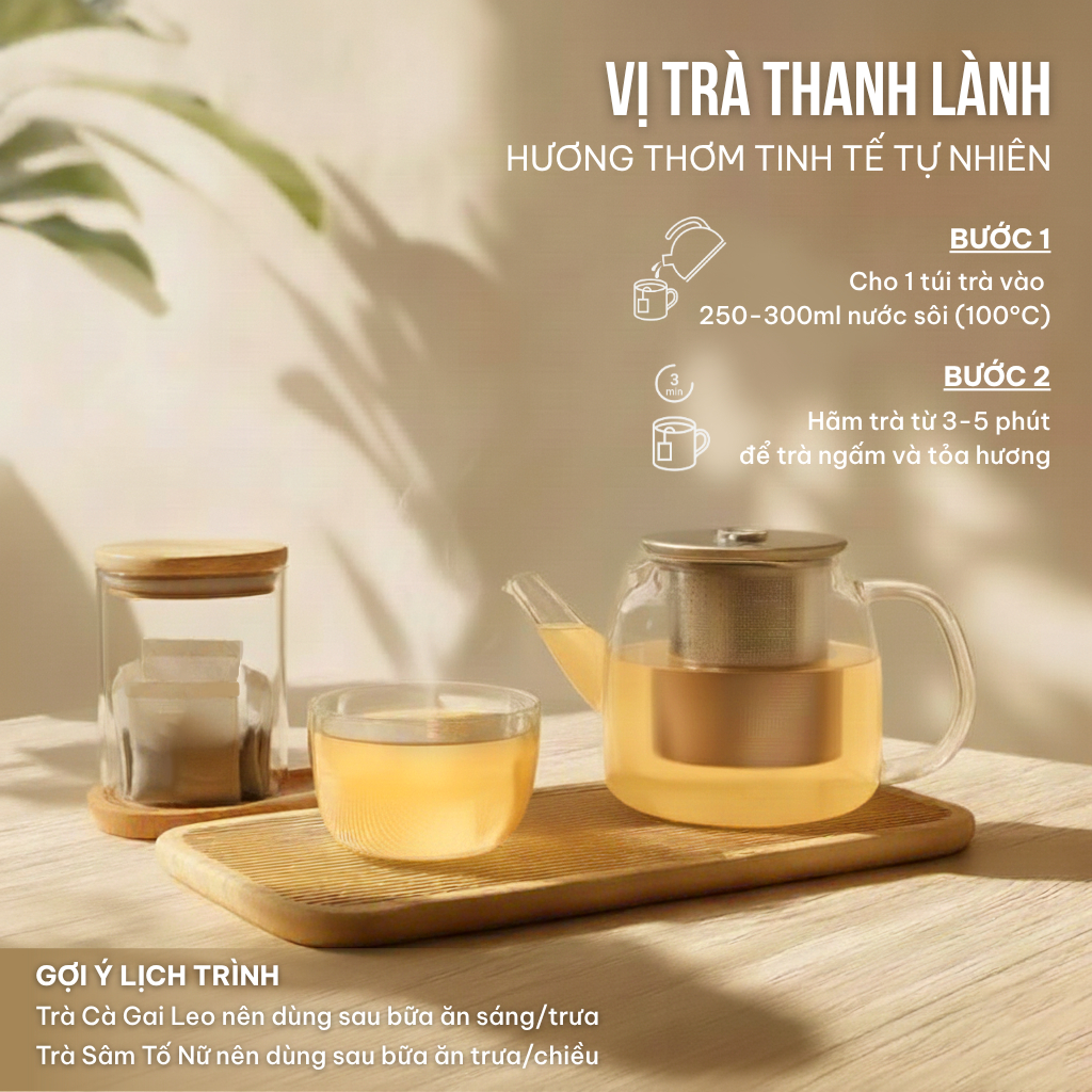 Combo 2 Trà Túi Lọc Sâm Tố Nữ + Cà Gai Leo VIEGREEN 30x5g + 50x3g, GMP HACCP