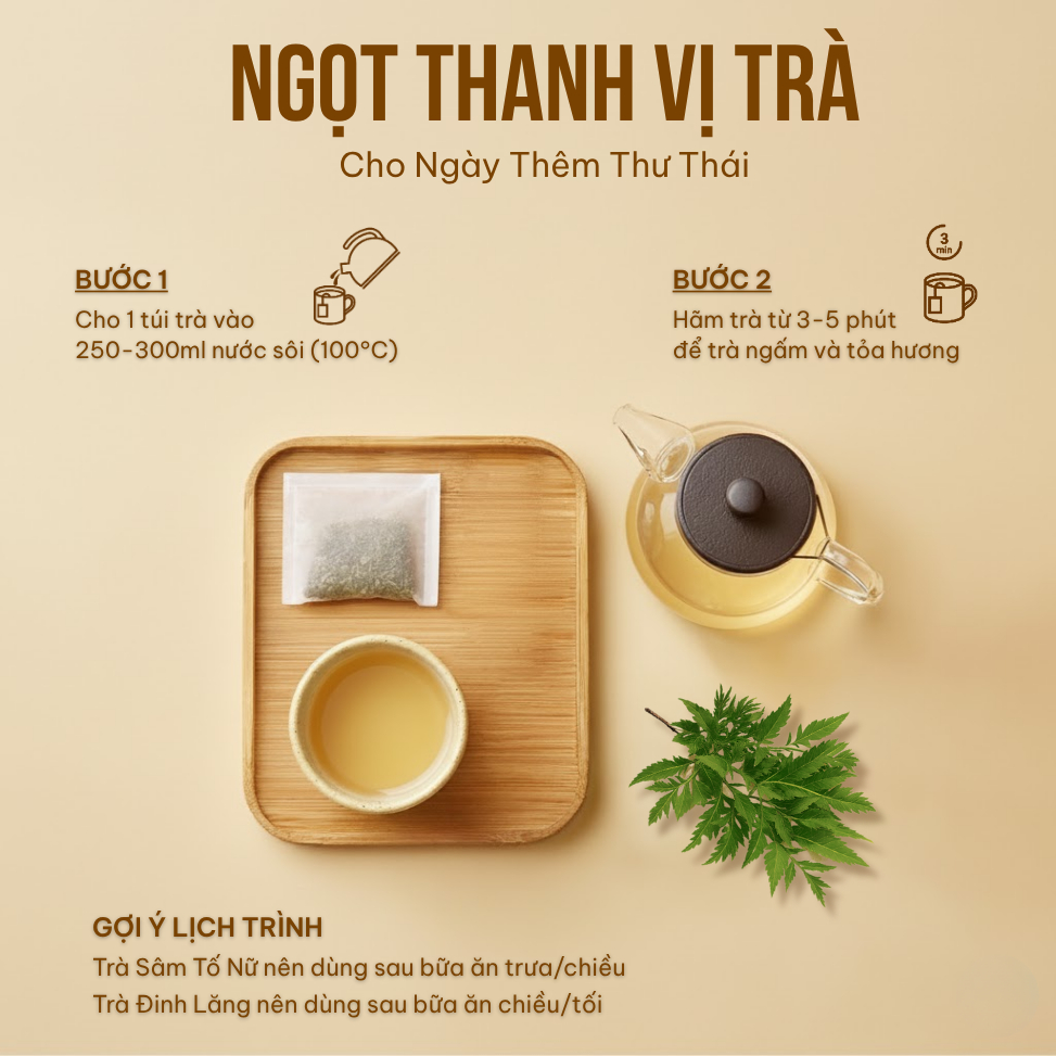Combo 2 Trà Túi Lọc Sâm Tố Nữ + Đinh Lăng VIEGREEN 30x5g + 50x3g, GMP HACCP