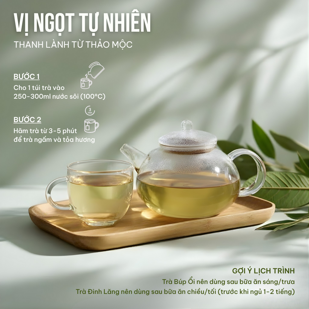 Combo 2 Trà Túi Lọc Đinh Lăng + Búp Ổi VIEGREEN 50x3g + 50x3g, GMP HACCP