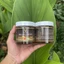 Sáp Wax Lông Ladevan – Lô Hội Mật Ong Chính hãng Giá tốt