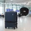 Dây chằng túi xách Royal đa dạng kích thước, chất liệu chắc chắn buộc cố định dễ dàng
