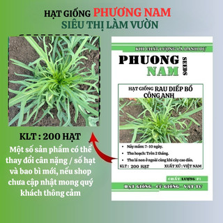 200 Hạt - Hạt Giống Rau Diếp Bồ Công Anh Phương Nam