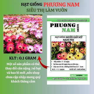 0.1 Gram - Hạt Giống Hoa Mười Giờ Mỹ Nam Phi Mix Phương Nam