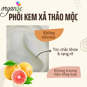 PHÔI DẦU XẢ / KEM XẢ THẢO MỘC
