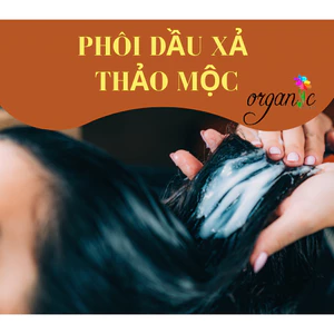 PHÔI DẦU XẢ THẢO MỘC