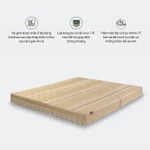 Đệm/ Nệm bông ép Artemis Everon cao cấp, nhiều kích thước — ảnh 2