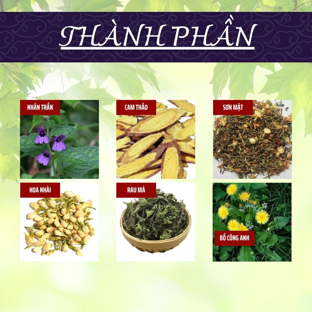 HÒA BÌNH ORGANIC - Trà Túi Lọc Nhân Trần Cam Thảo -Thanh nhiệt, giảm nóng trong, mát gan-Bịch 50 lọc