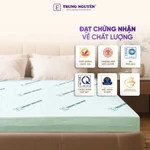 Nệm cao su non thế hệ mới Nệm Trung Nguyên, nệm cao su cao cấp ôm sát nâng đỡ cơ thể chống đau lưng — ảnh 8