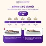 Nệm cao su non thế hệ mới Nệm Trung Nguyên, nệm cao su cao cấp ôm sát nâng đỡ cơ thể chống đau lưng — ảnh 4